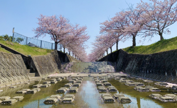 サンプルイメージ